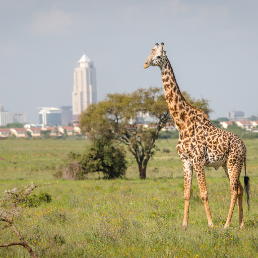 Nairobi